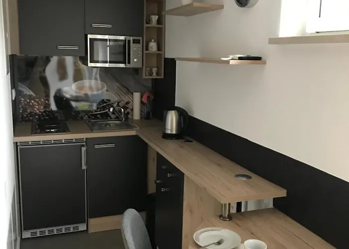 1 In Buchenrod Flieden